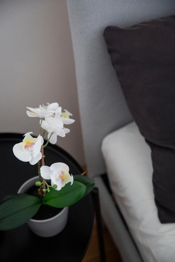 Downtown Cozy In The Gozsdu Garden Apartment *